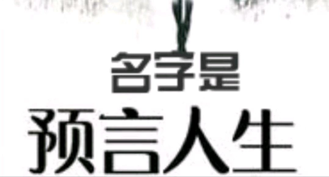 起名网测名字打分