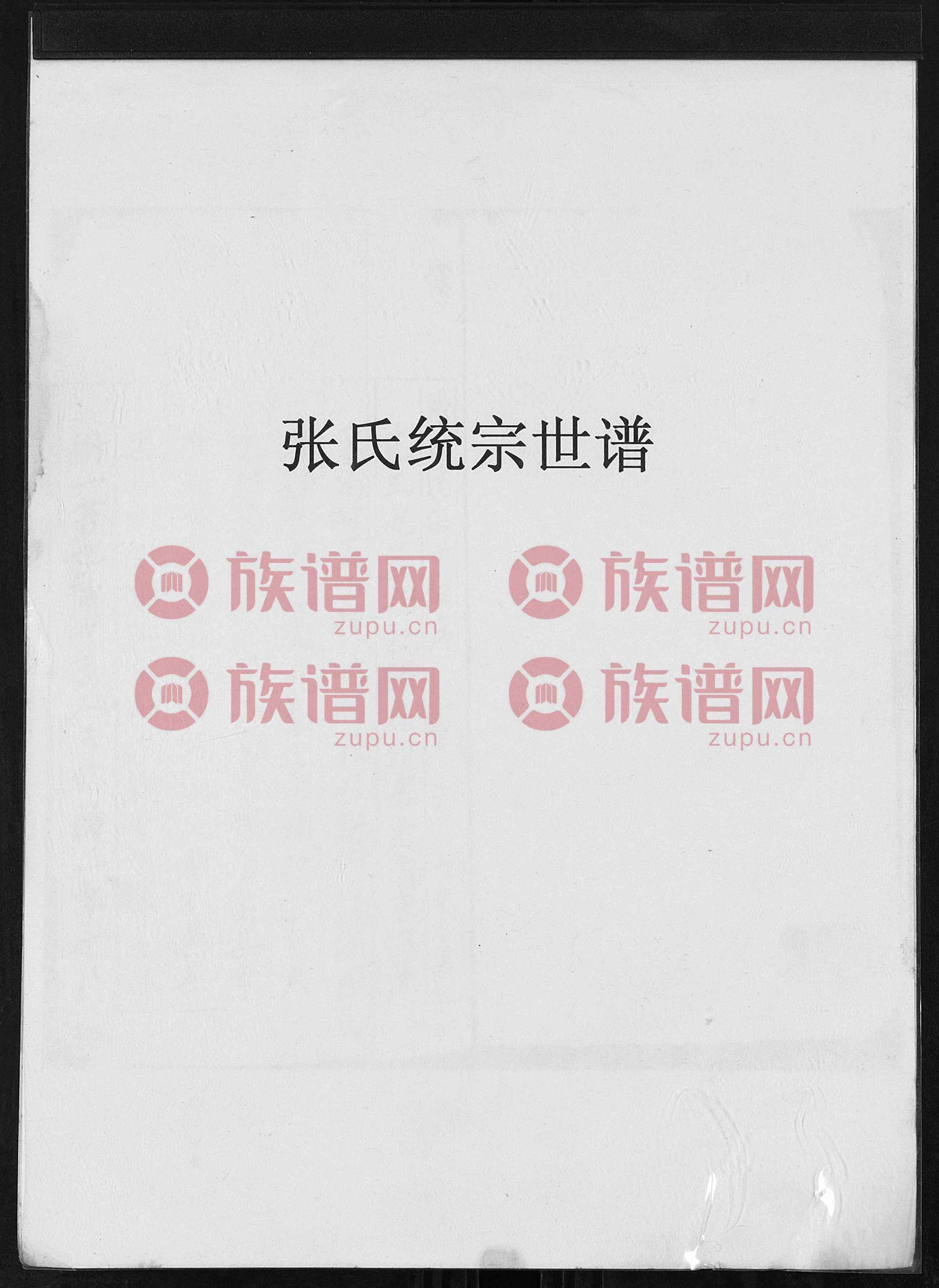 百家姓张氏家谱