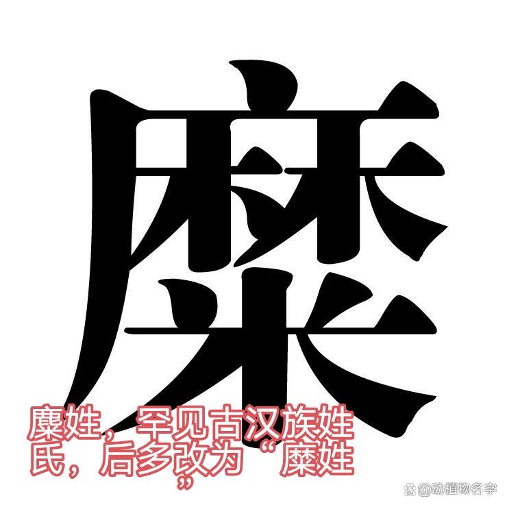 动物姓氏的排序怎么排