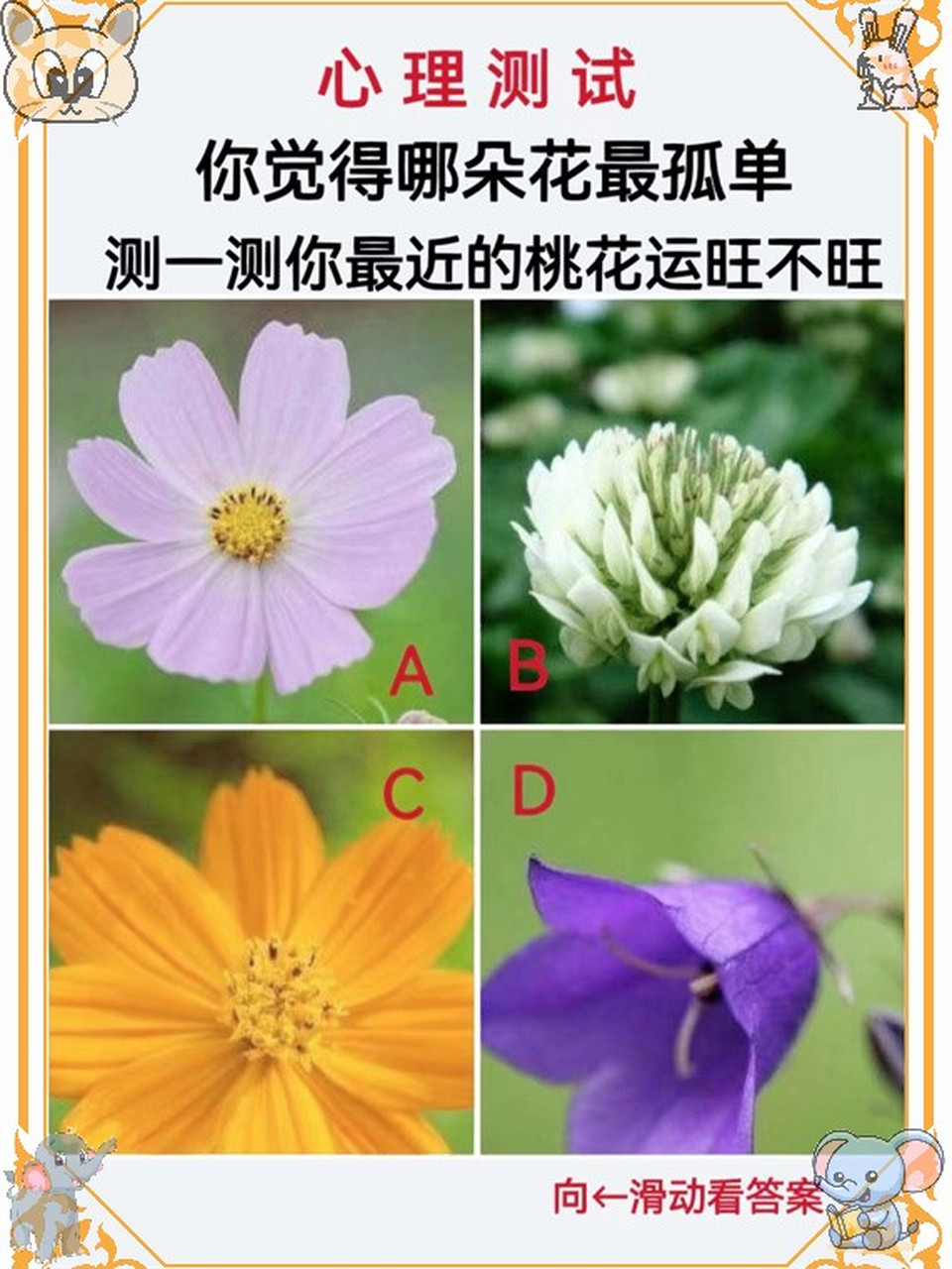 桃花运测试技巧
