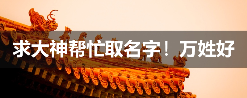 取名字哪个网站最好