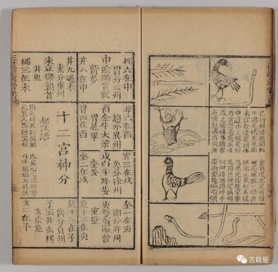 卜卦测算