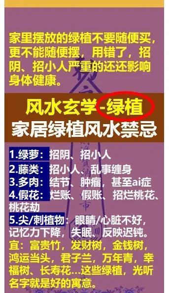 玄学风水算迷信吗为什么 玄学风水算迷信吗为什么