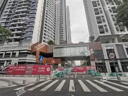 华盛算命免费入口