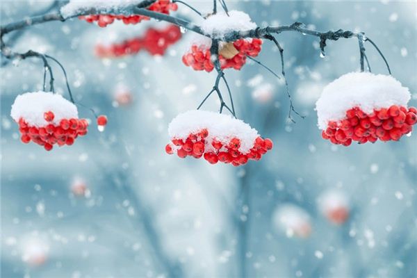 周公解梦下雪代表什么意思
