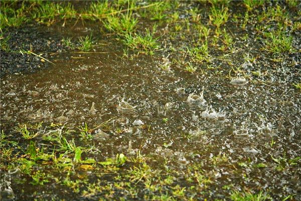 周公解梦大全下雨