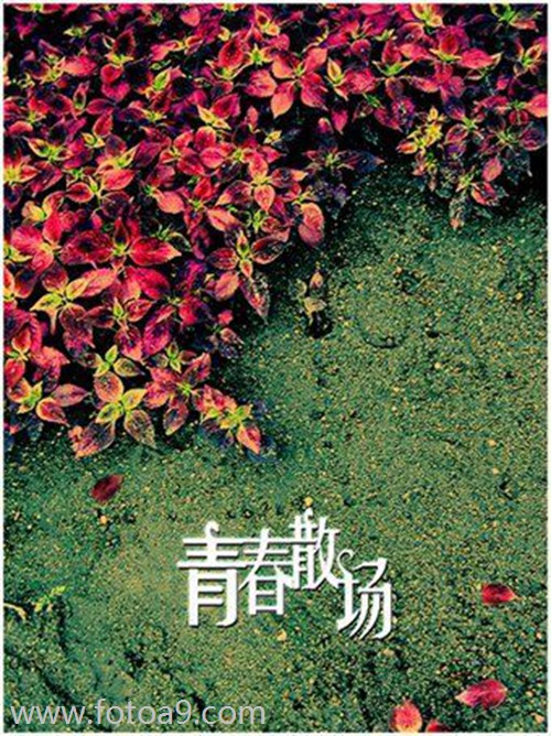 佛滔姓名算命网