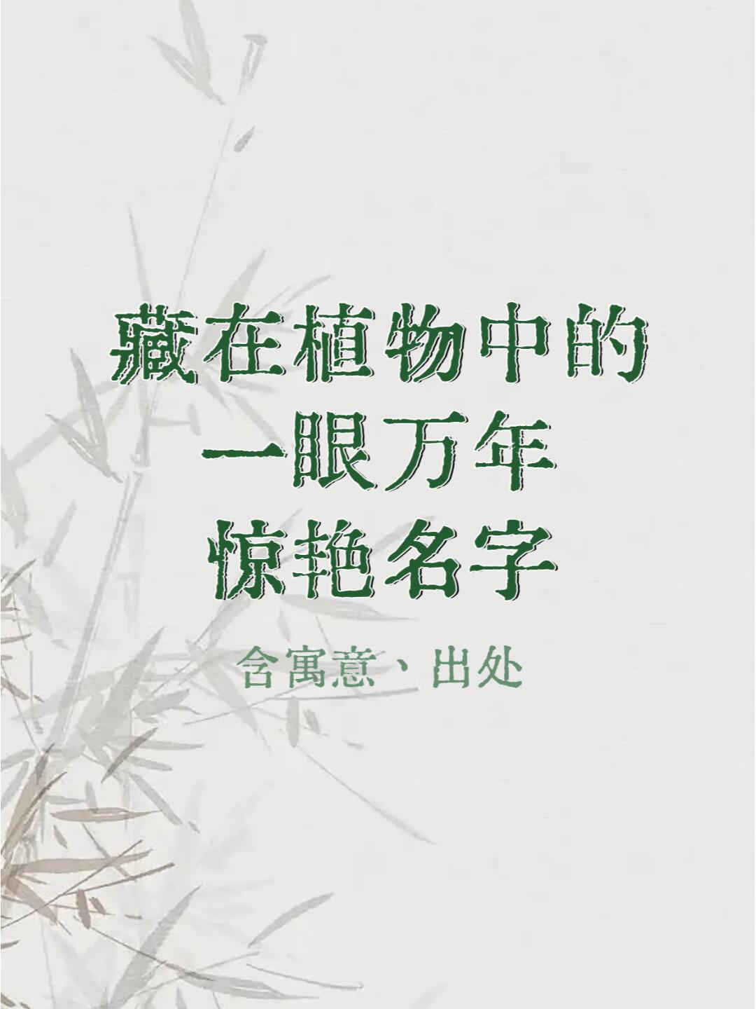 思源这个名字的寓意