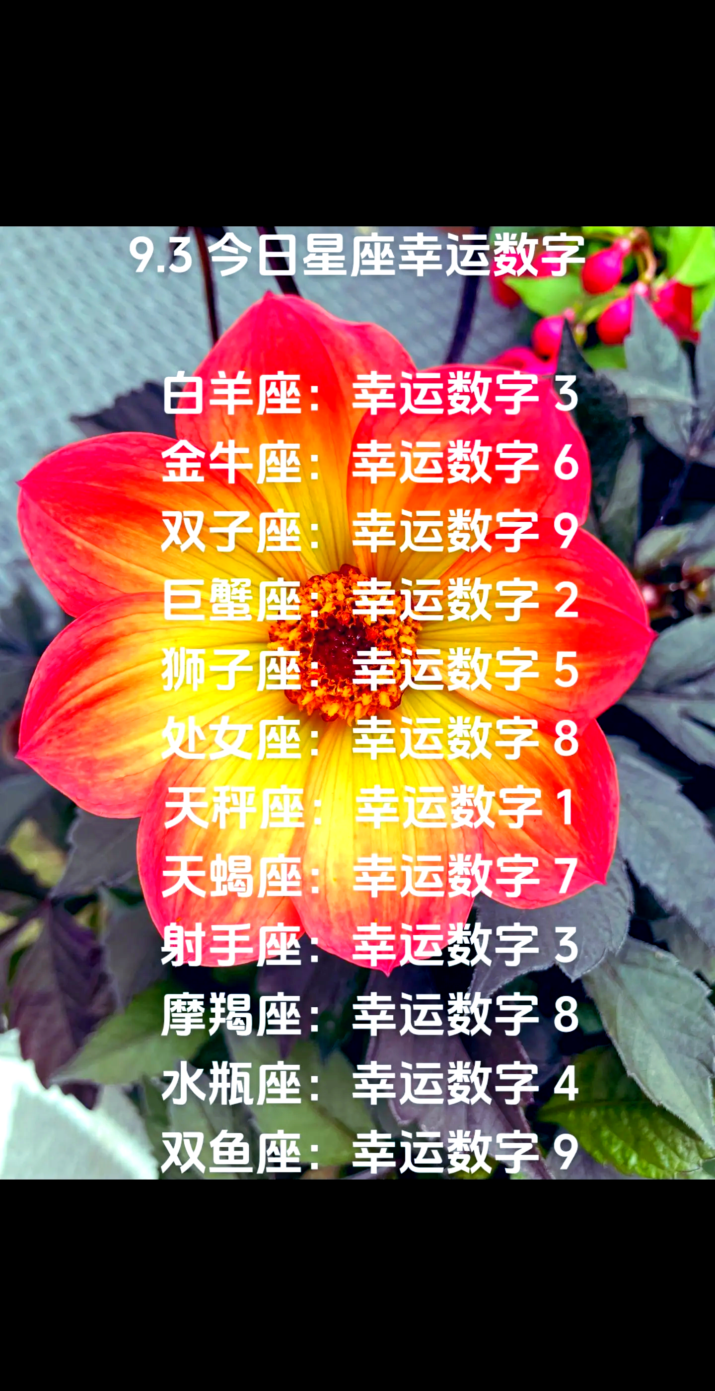 金牛座今日运势查询第一星座网的简单介绍