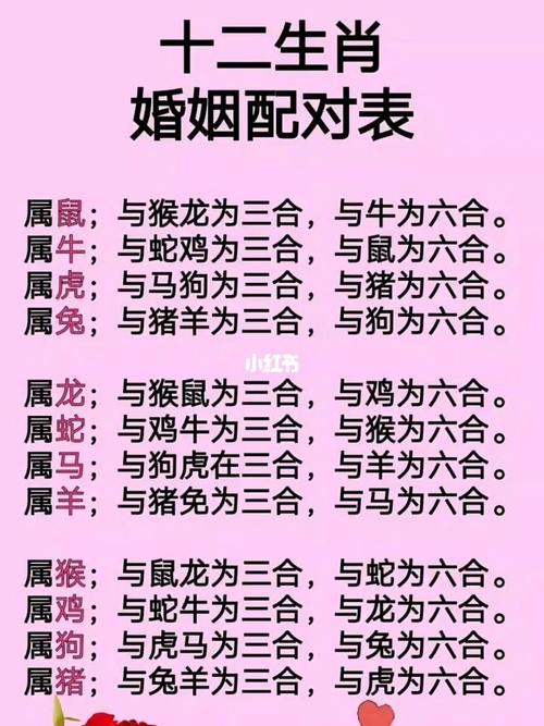 12生肖婚姻最佳配对