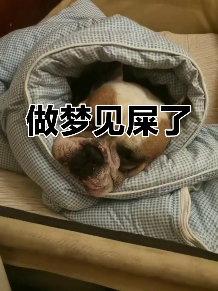 梦见拉屎有什么含义