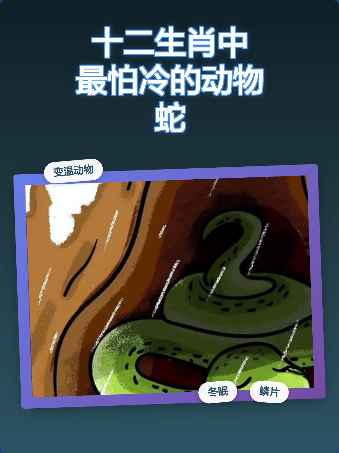 蛇十二生肖