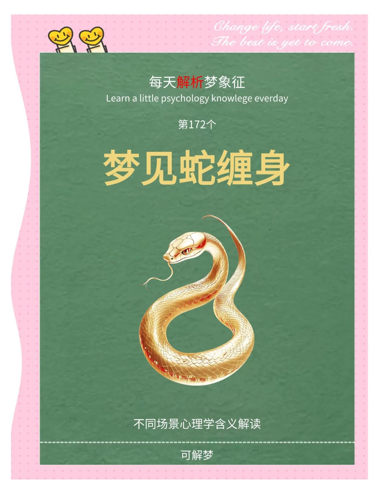 自查解梦梦见蛇