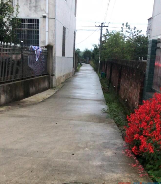 门口一条路正对门口 门口一条路正对门口