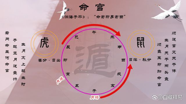 八字排盘祥解免费