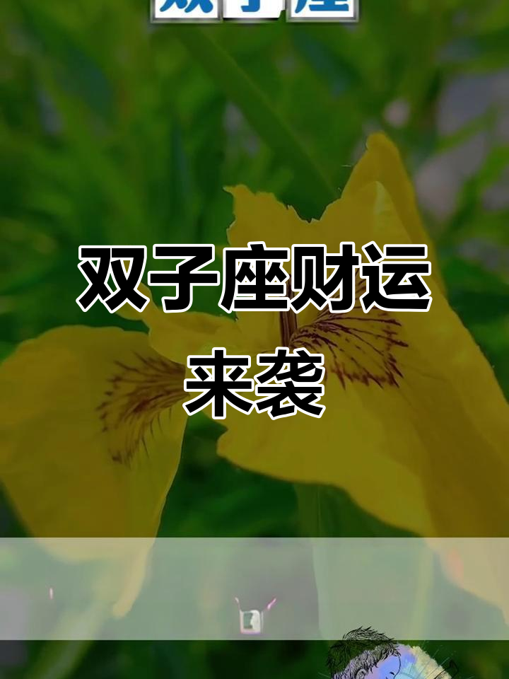 双子座今日财运汉程网