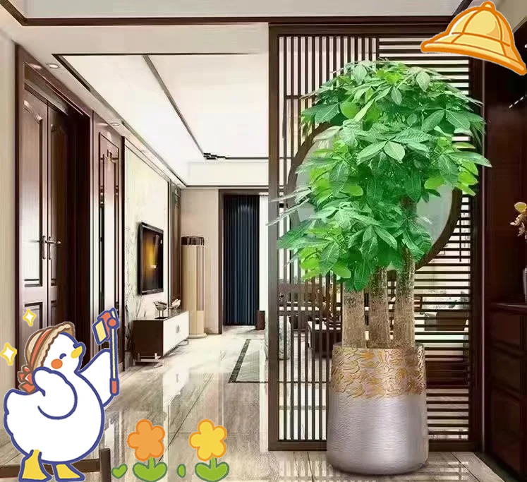 门口放什么最旺风水