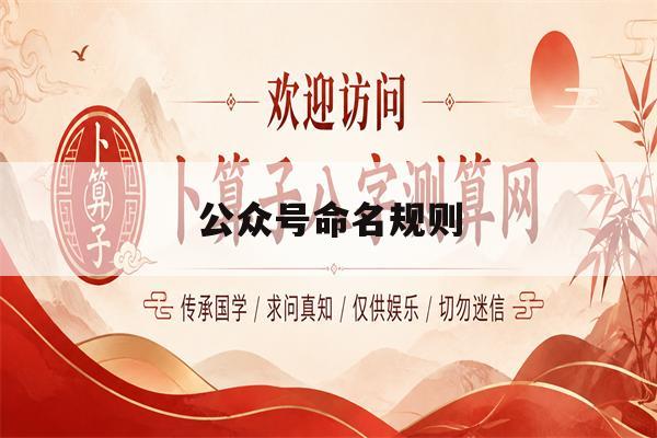 公众号命名规则(公众号命名规则大全)